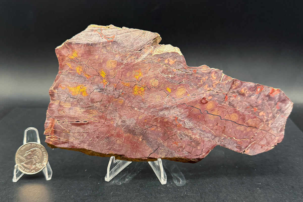 Morgan Hill Poppy Jasper (Unpolished)