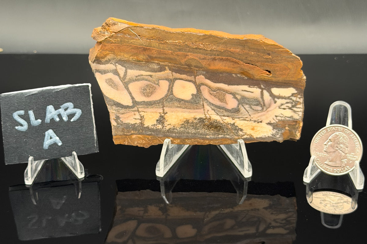 Outback Jasper (Unpolished)