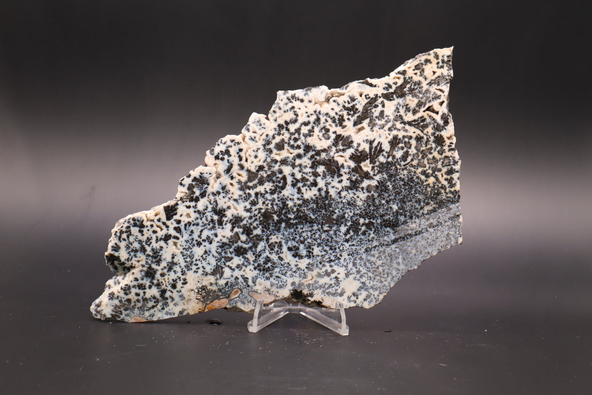 Medicine Bow Agate slab (Unpolished)