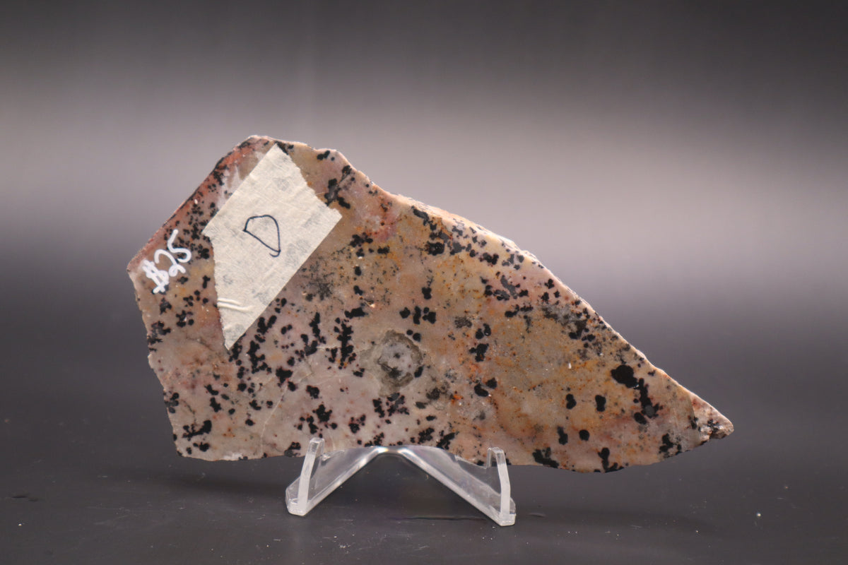 Dendritic Jasper slab (Unpolished)
