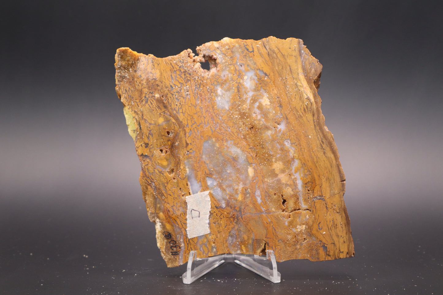 Golden Plum Moss Agate slab (Unpolished)