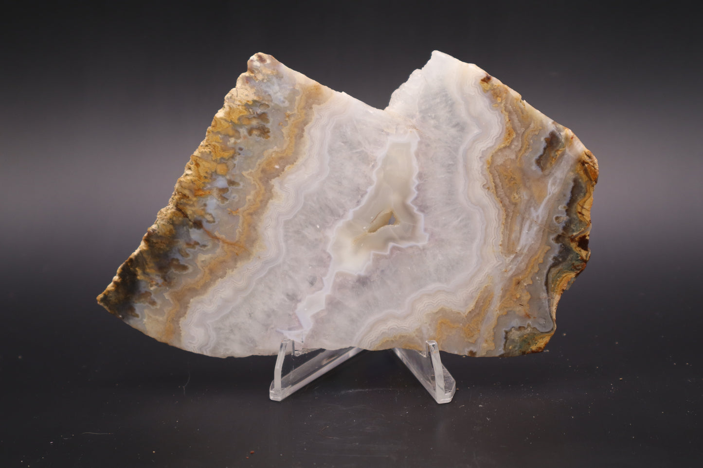 Sowbelly Agate slab (Unpolished)
