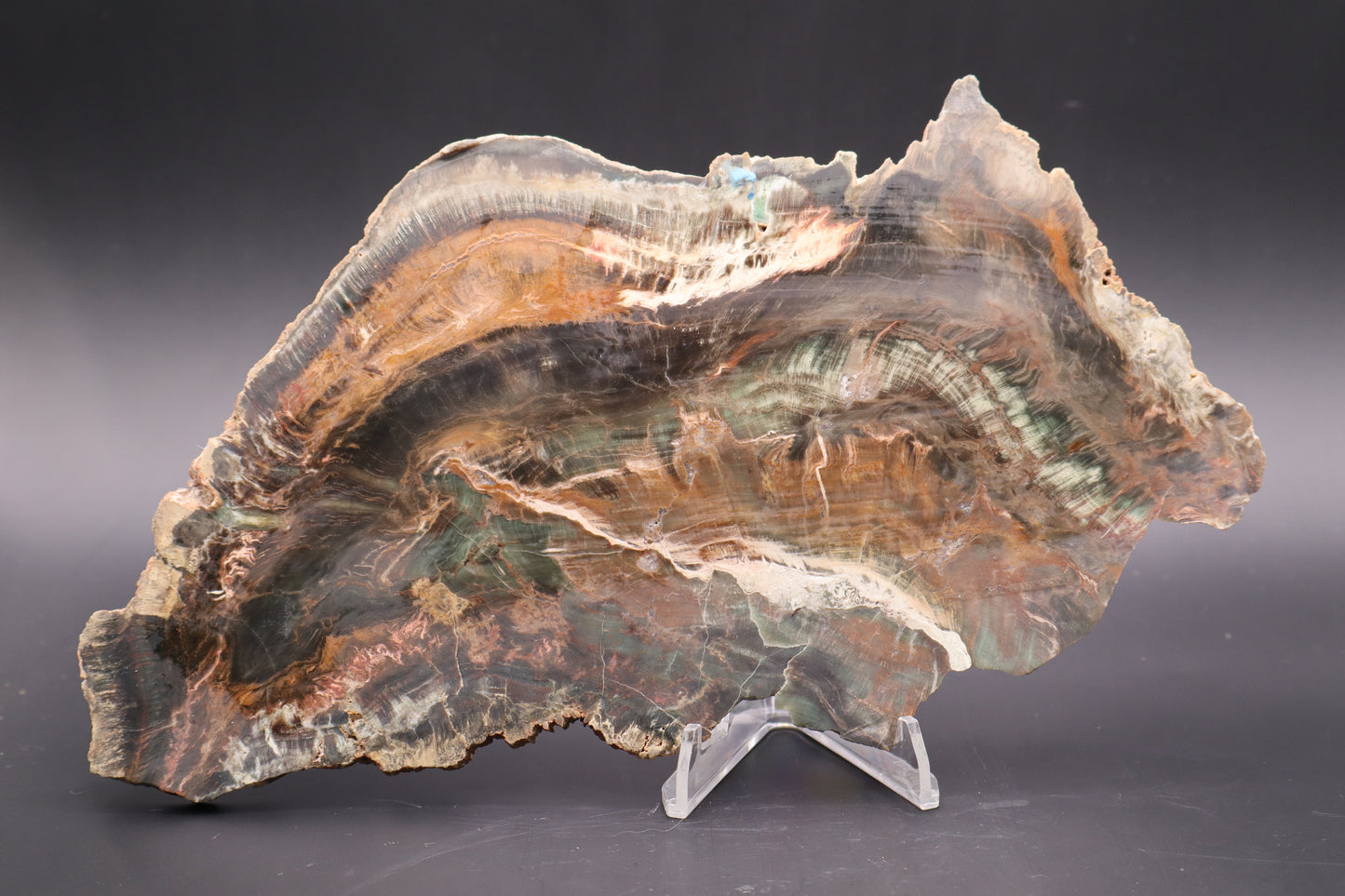 Chromium Woodworthia slab (Collector's Grade) (Unpolished)