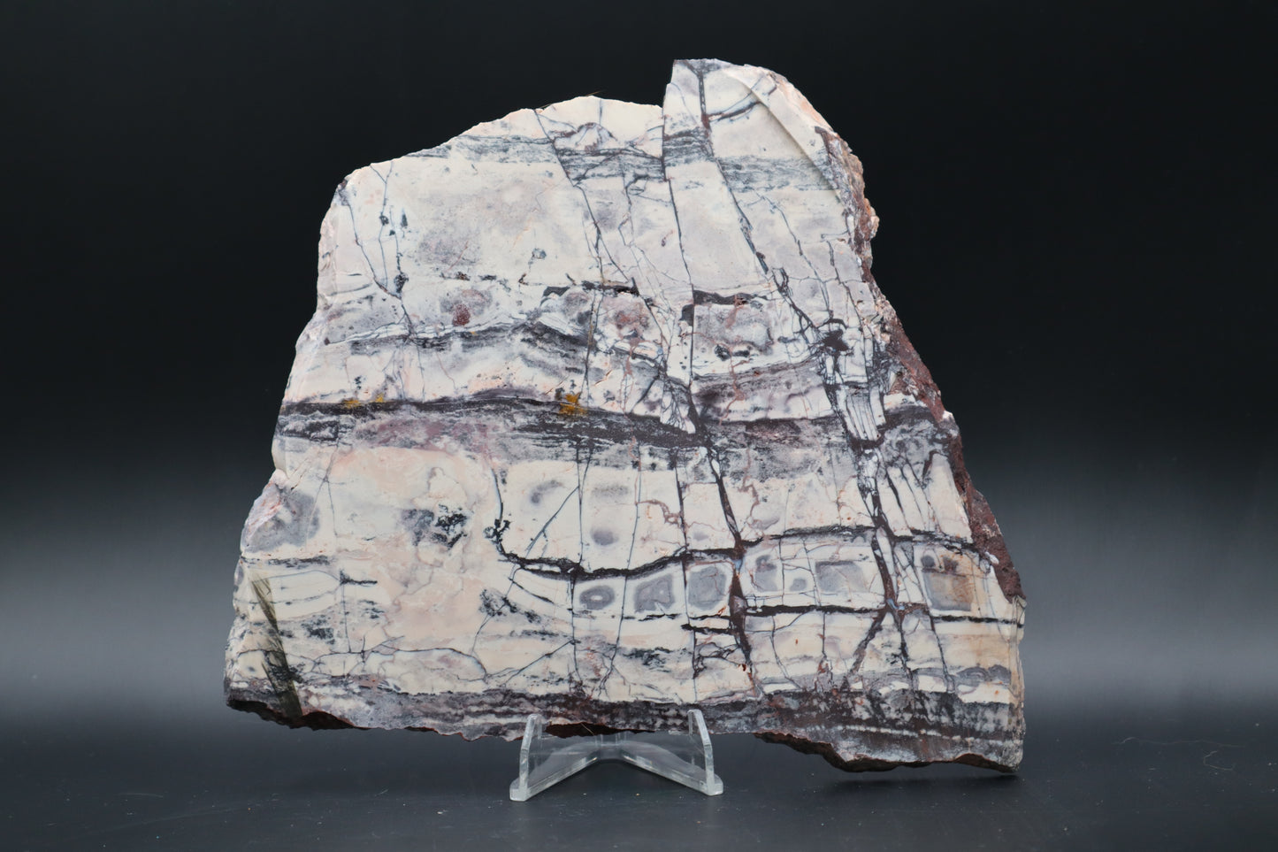 Exotica Sci-Fi Jasper slab (Unpolished)