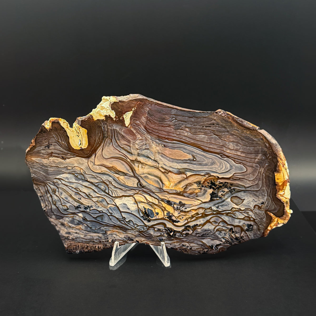 Display/Polished Specimens