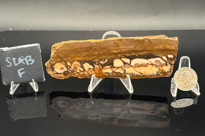 Outback Jasper (Unpolished)