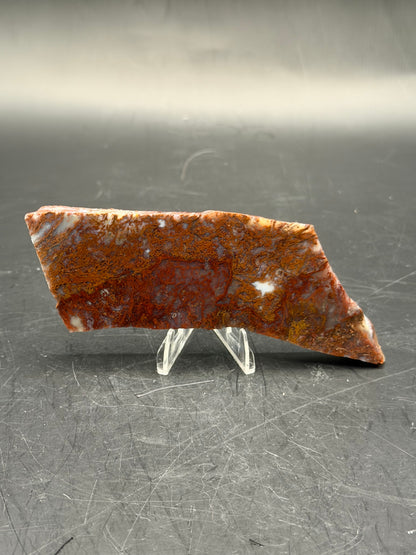 Maury Mountain Moss Agate (Unpolished) Slabs
