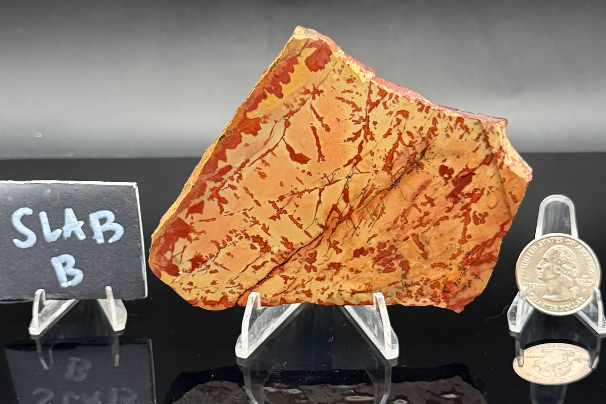 Owyhee Jasper (Unpolished)