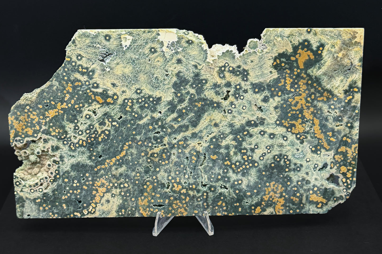 1st Vein Ocean Jasper (Unpolished)