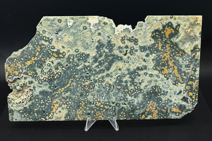 1st Vein Ocean Jasper (Unpolished)