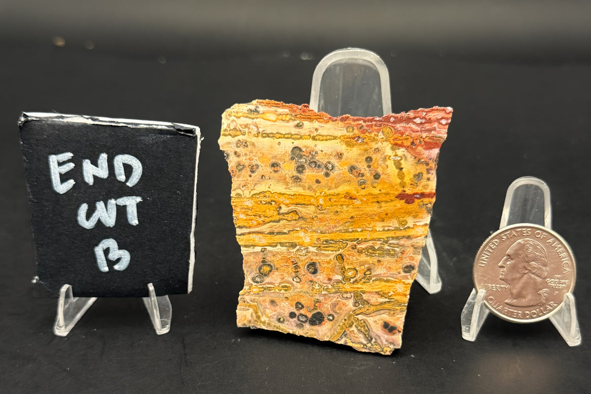 Leopard Skin Rhyolite (Unpolished)