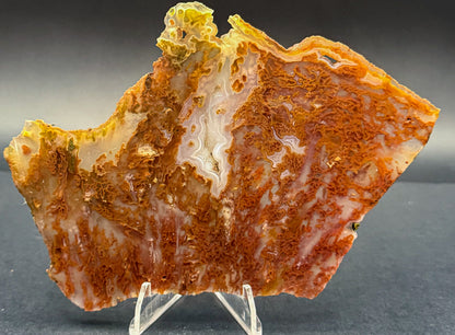 Bull Canyon Tube/Moss Agate (Unpolished)