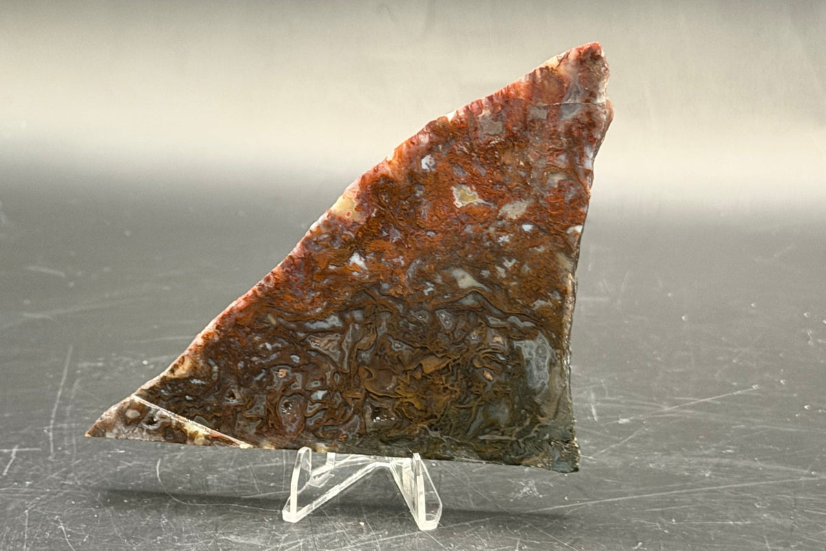 Maury Mountain Moss Agate (Unpolished) Slabs