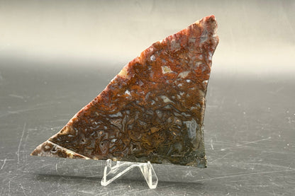 Maury Mountain Moss Agate (Unpolished) Slabs