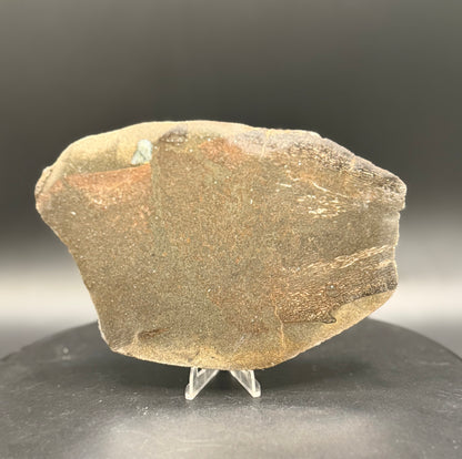 Stabilized Dinosaur Bone slab (Unpolished)