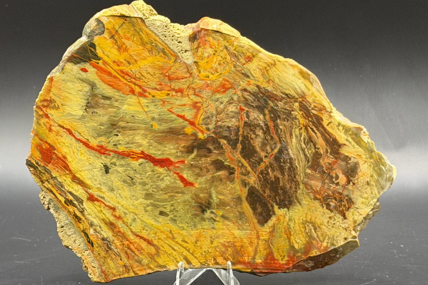 Morrisonite Jasper slab (Unpolished)