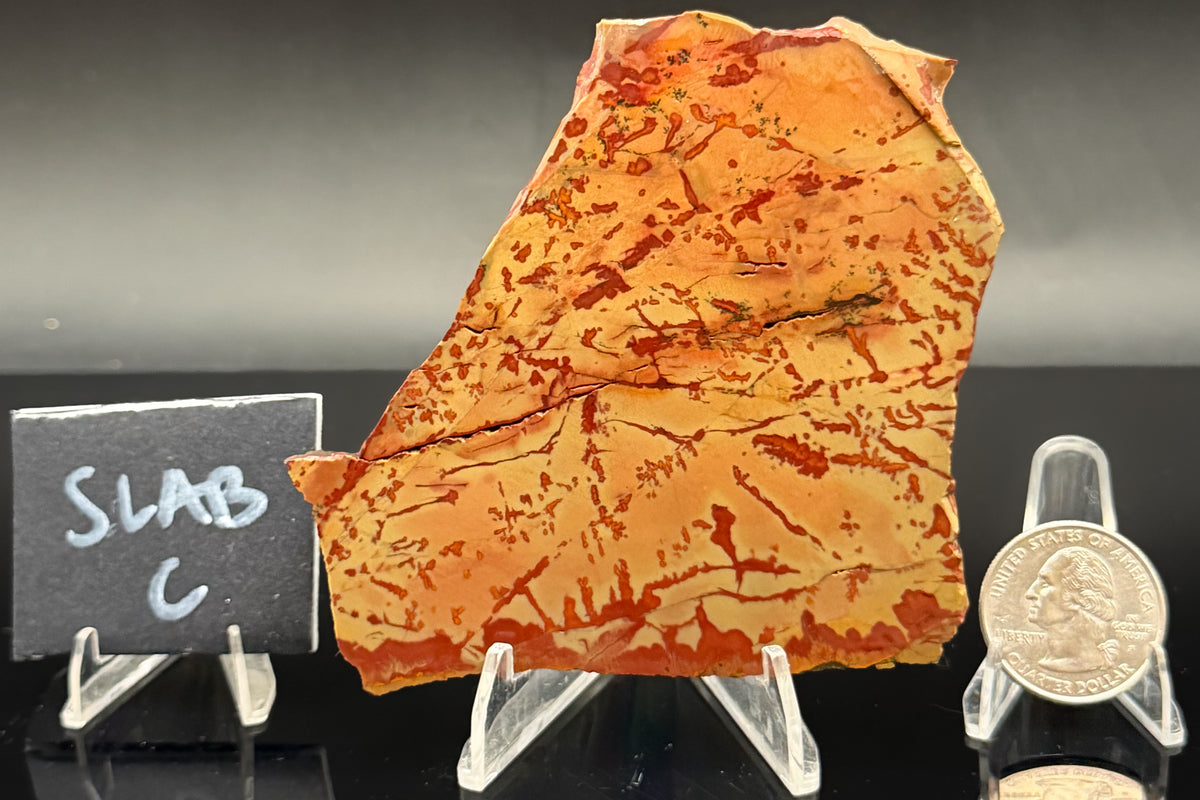 Owyhee Jasper (Unpolished)