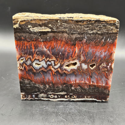 Mexican Flame Agate (Polished)