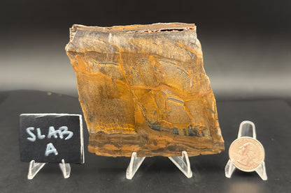 Tiger Eye (Unpolished)