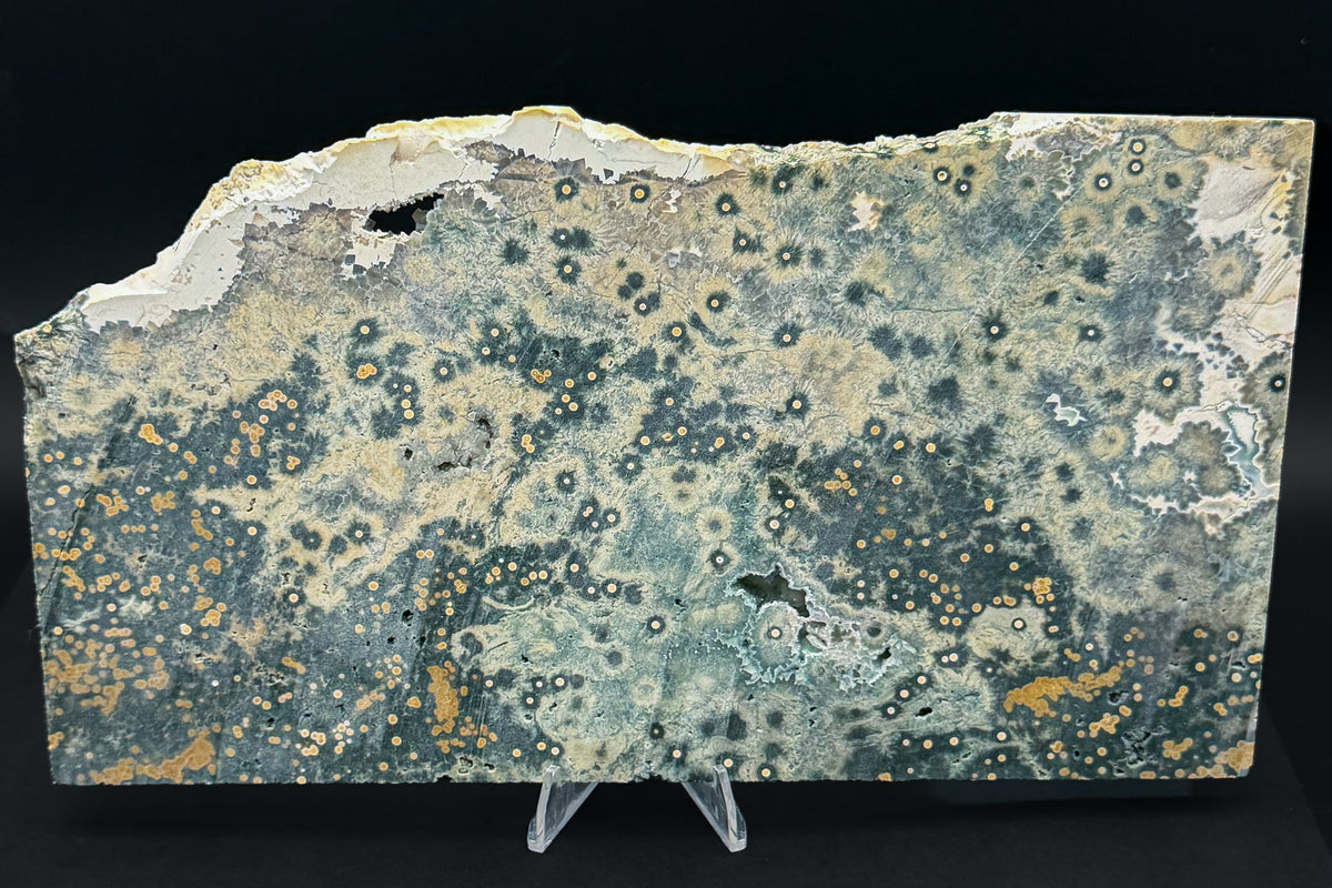 1st Vein Ocean Jasper (Unpolished)
