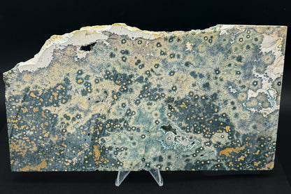 1st Vein Ocean Jasper (Unpolished)