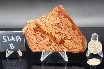 Owyhee Jasper (Unpolished)