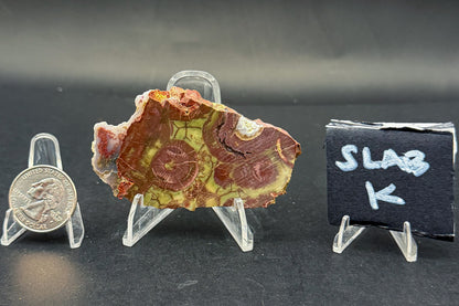Spiderweb Jasper (Unpolished)