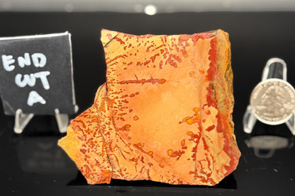 Owyhee Jasper (Unpolished)