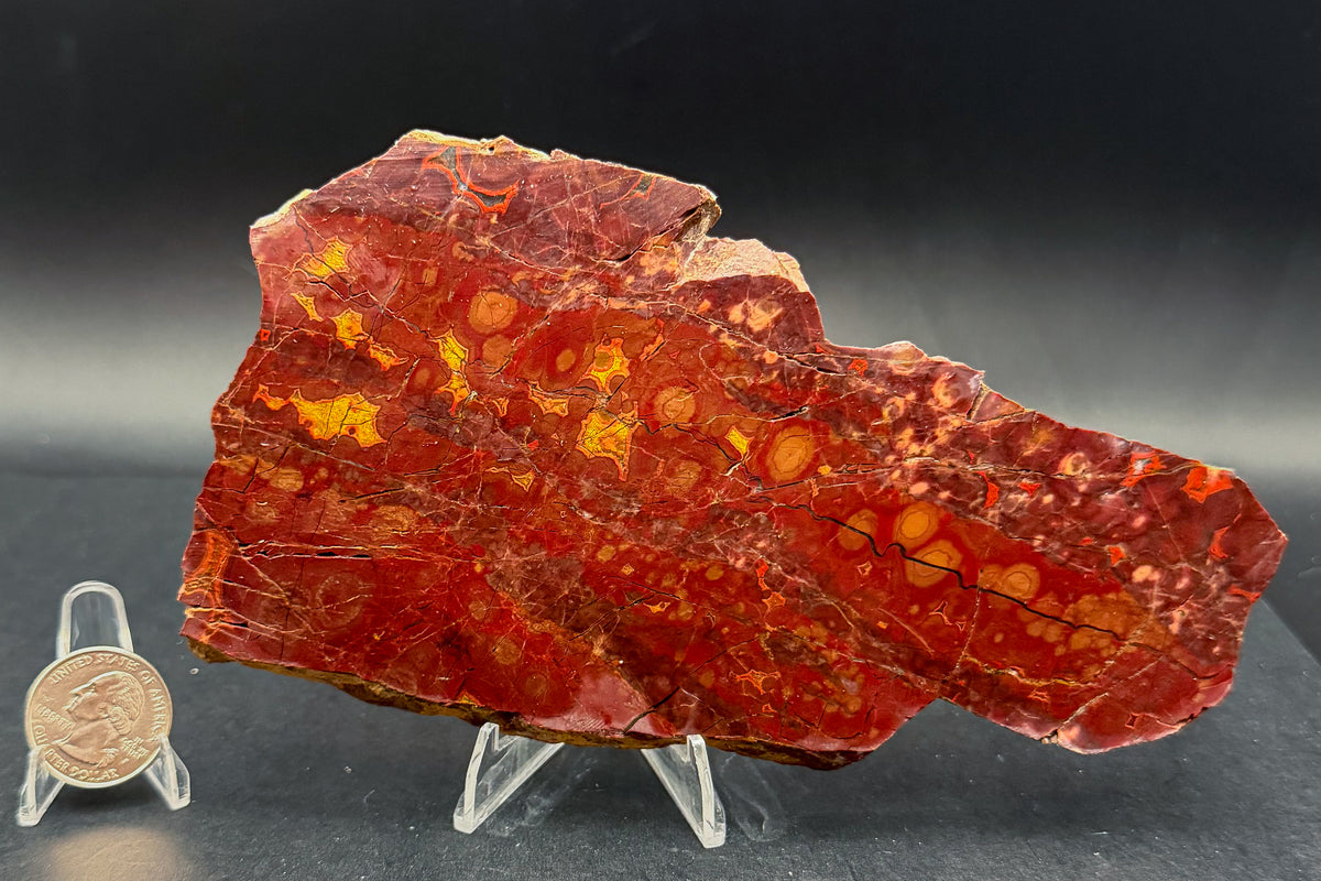 Morgan Hill Poppy Jasper (Unpolished)