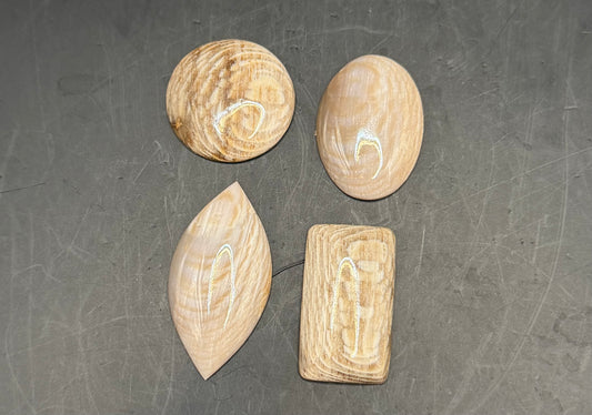 Badger Pocket Petrified Wood