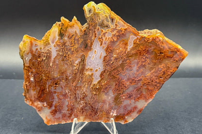Bull Canyon Tube/Moss Agate (Unpolished)