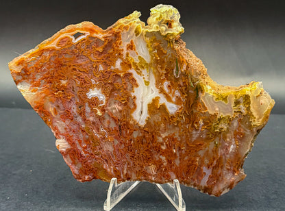 Bull Canyon Tube/Moss Agate (Unpolished)