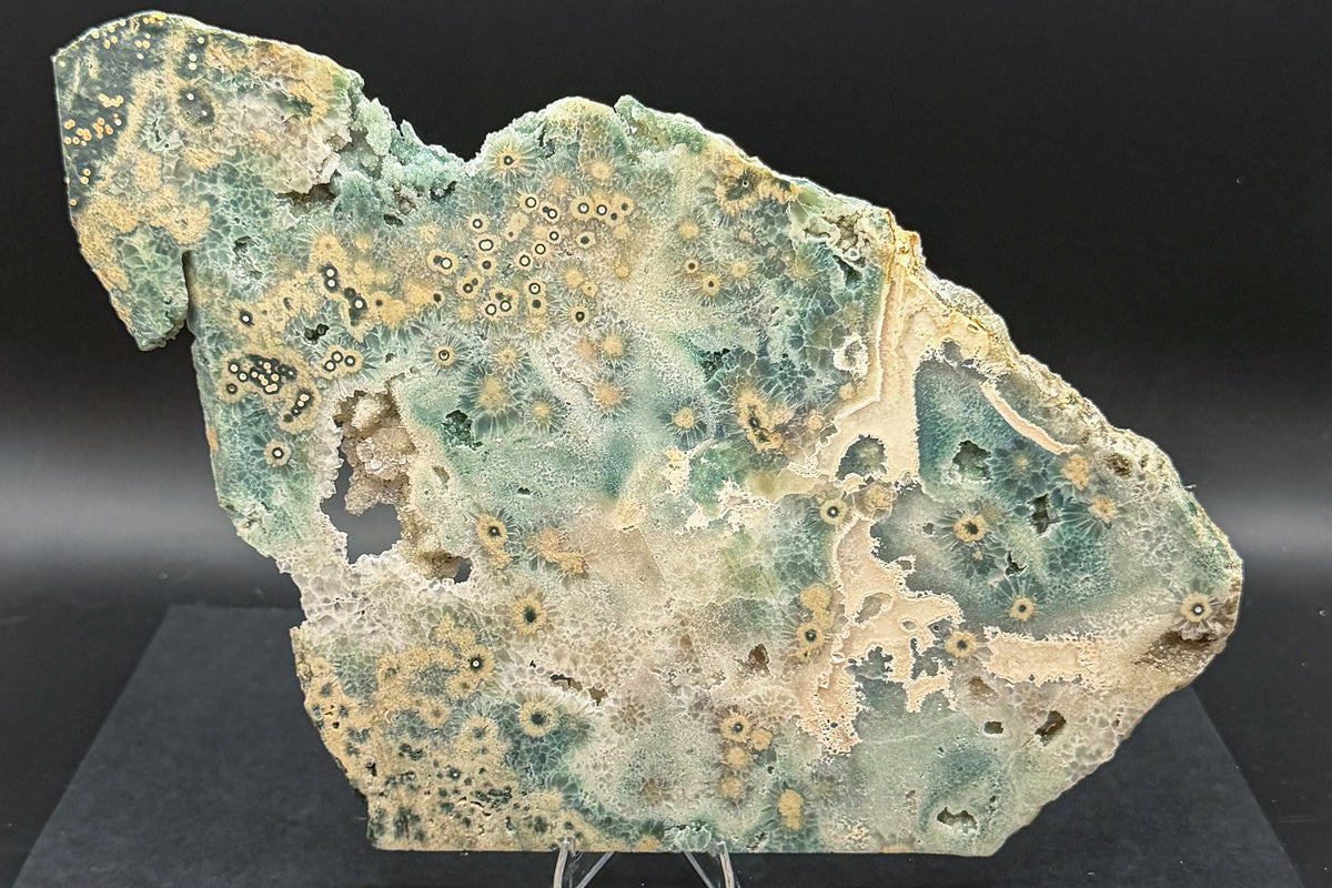 1st Vein Ocean Jasper (Unpolished)