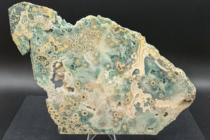 1st Vein Ocean Jasper (Unpolished)