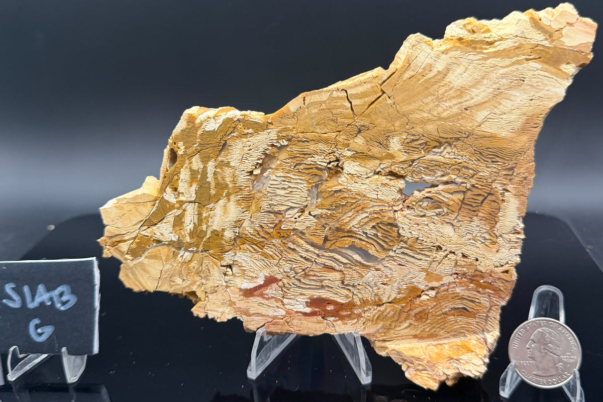 Howardite Jasper