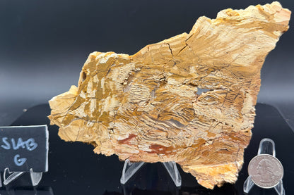 Howardite Jasper