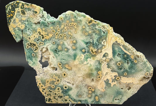 1st Vein Ocean Jasper (Unpolished)