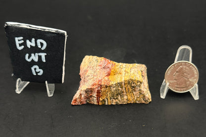 Leopard Skin Rhyolite (Unpolished)