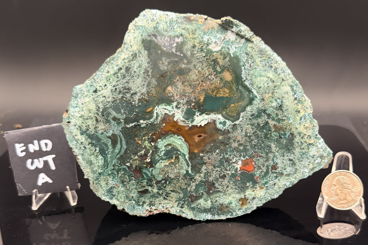 Turkish Limbcast with Agatized Chrysocolla (Unpolished)
