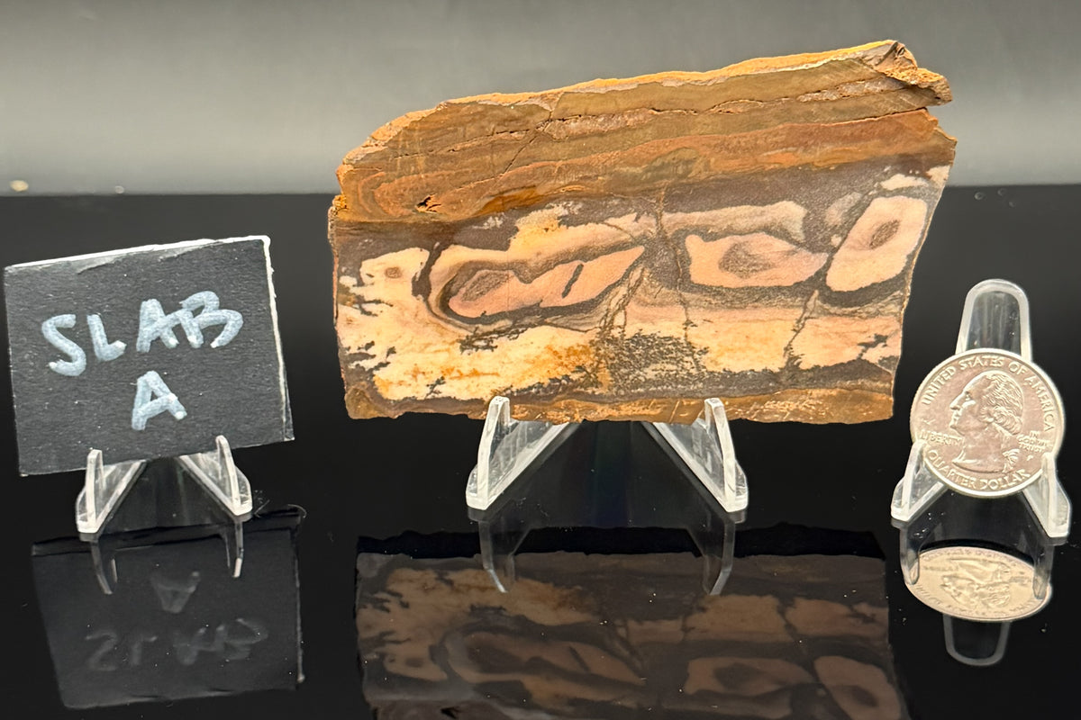 Outback Jasper (Unpolished)