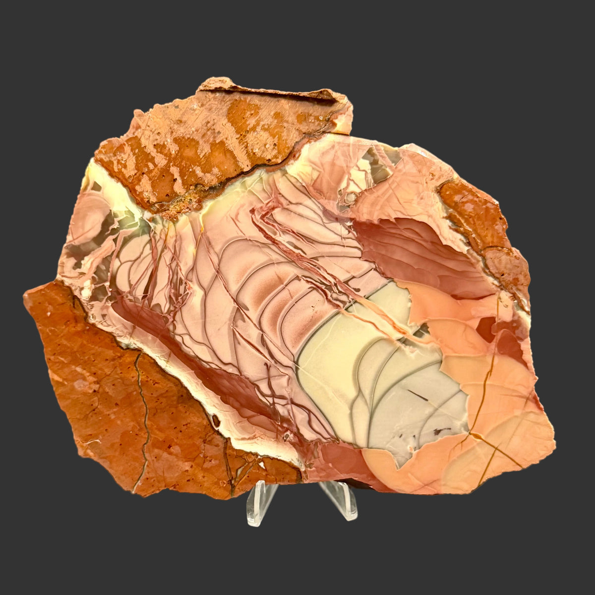 Willow Creek Jasper - Unpolished (AAA)