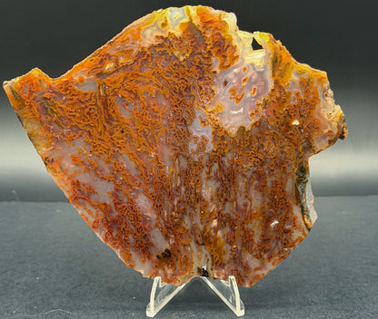 Bull Canyon Tube/Moss Agate (Unpolished)