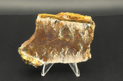 Linda Marie Plume Agate (Unpolished)
