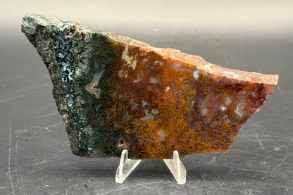 Maury Mountain Moss Agate (Unpolished) Slabs