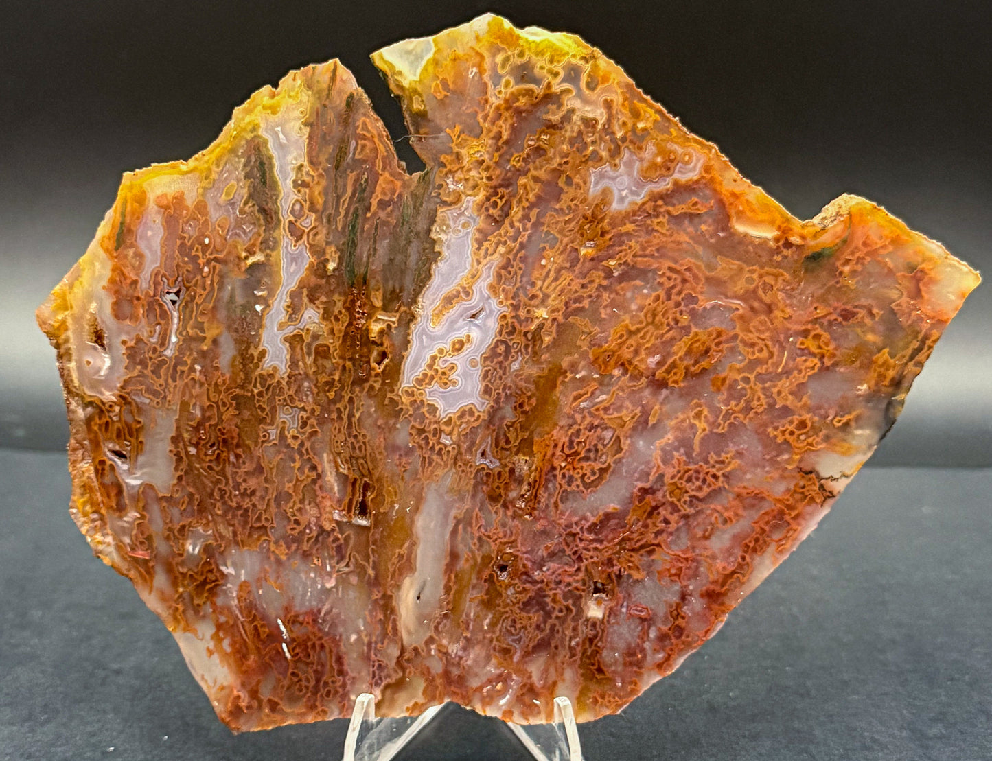 Bull Canyon Tube/Moss Agate (Unpolished)