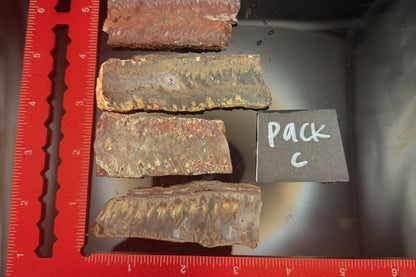 2026 Idaho Wildfire Slab Pack