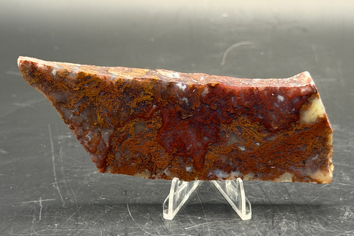 Maury Mountain Moss Agate (Unpolished) Slabs