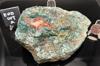 Turkish Limbcast with Agatized Chrysocolla (Unpolished)
