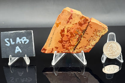 Owyhee Jasper (Unpolished)