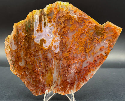 Bull Canyon Tube/Moss Agate (Unpolished)